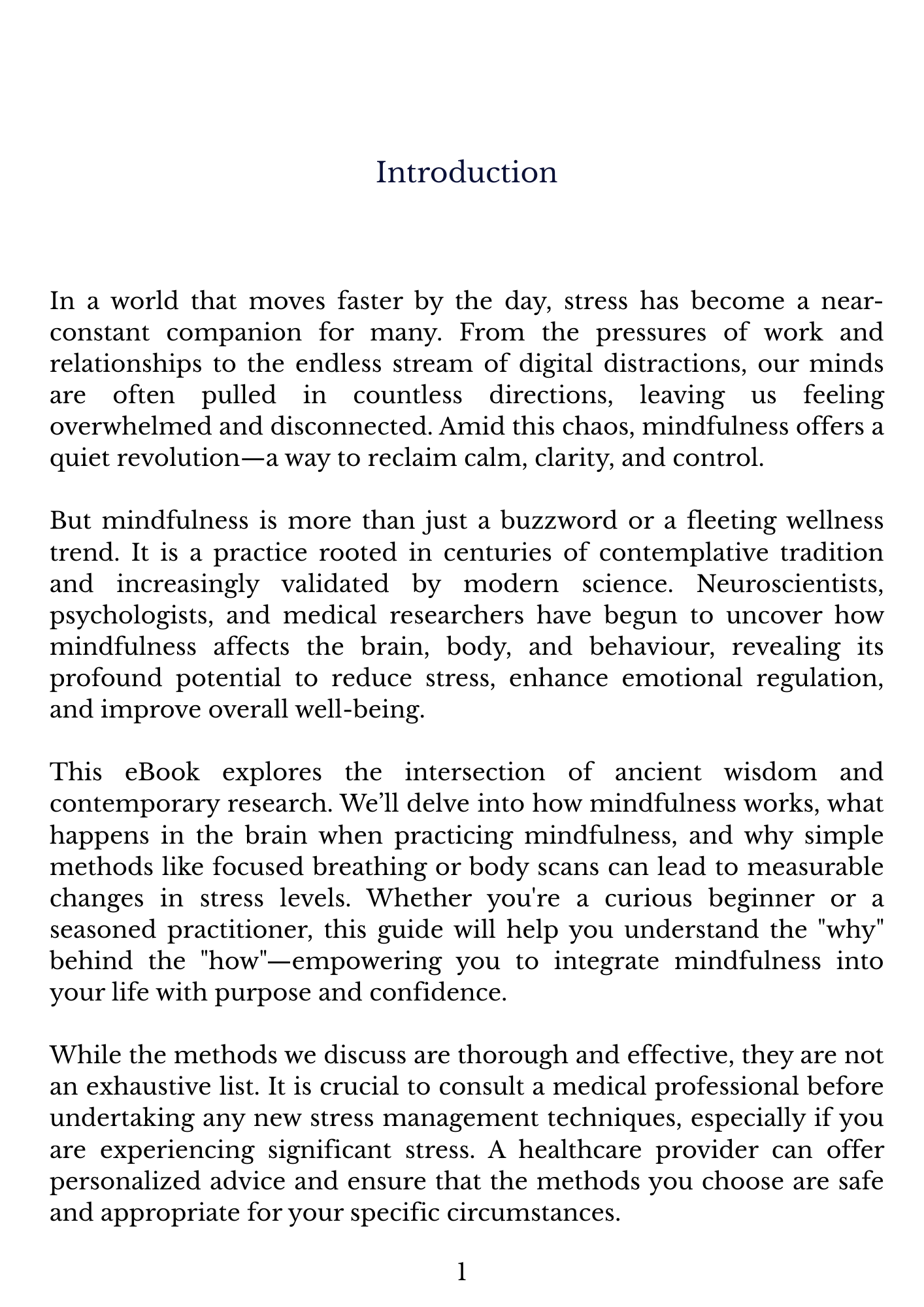 Stress Relief Through Mindfulness: Proven Methods Backed by Research (eBook) - Instant Download & eReader Friendly!