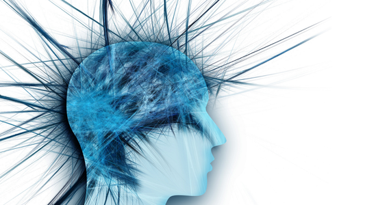 Chronic Stress and the Brain: What Science Reveals About Its Impact and How to Manage It