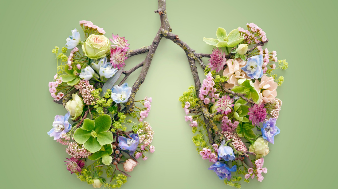 Harnessing the Breath: Diaphragmatic Breathing and Stress Management