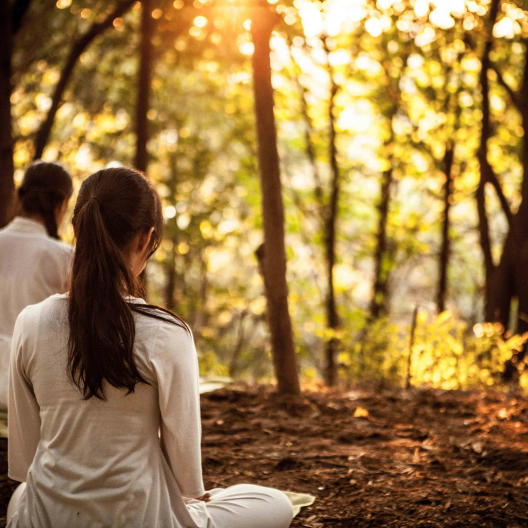 Mindfulness Meditation and Stress Management: Insights from a Meta-Analysis