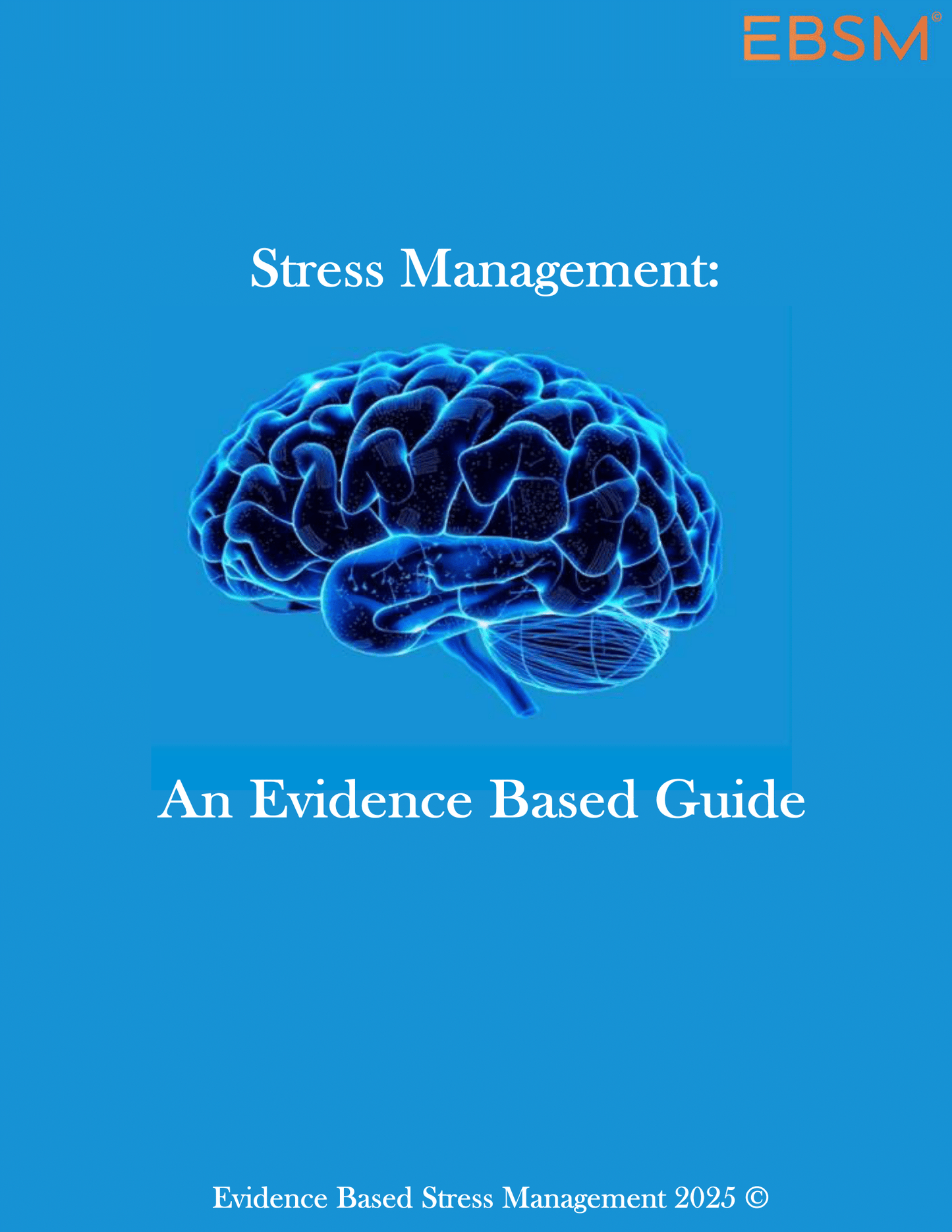 Stress Management: An Evidence Based Guide (eBook)