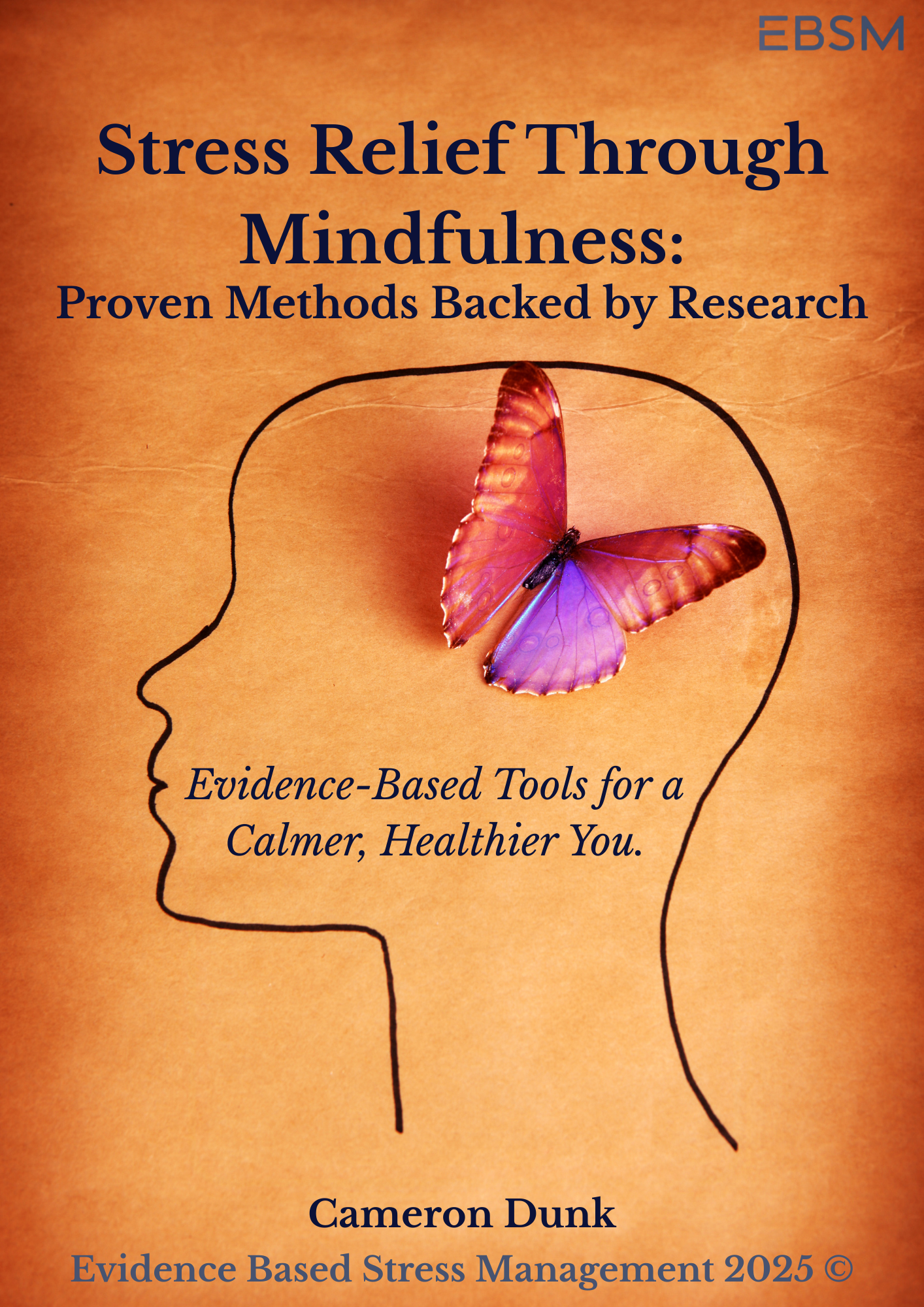 Stress Relief Through Mindfulness: Proven Methods Backed by Research (eBook) - Instant Download & eReader Friendly!